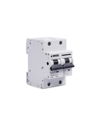 HEGEL DC DEVRE KESİCİ 550Vdc 100A C SINIF - 4 ADET